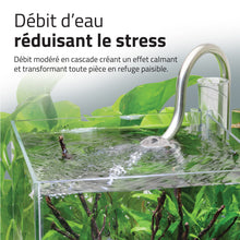 Load image into Gallery viewer, Aquarium équipé Fluval Kühl pour l’aménagement miniature et aquaponie, 8 L (2,1 gal US), noir