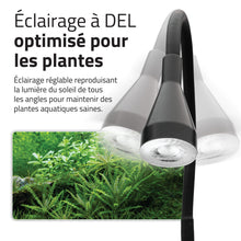 Load image into Gallery viewer, Aquarium équipé Fluval Kühl pour l’aménagement miniature et aquaponie, 8 L (2,1 gal US), noir
