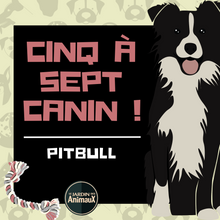 Load image into Gallery viewer, Frais d'inscription à un 5 à 7 - regroupement de race de chiens
