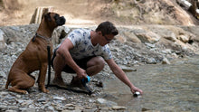 Load image into Gallery viewer, Grandes bouteilles d'eau en acier inoxydable avec couvercle pour chien, capacité de 700 ml