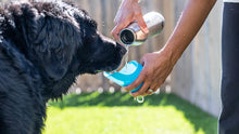 Load image into Gallery viewer, Grandes bouteilles d'eau en acier inoxydable avec couvercle pour chien, capacité de 700 ml