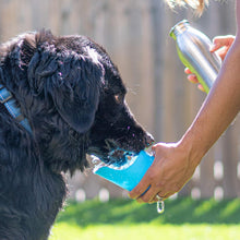 Load image into Gallery viewer, Grandes bouteilles d'eau en acier inoxydable avec couvercle pour chien, capacité de 700 ml