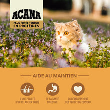 Charger l'image dans la galerie, ACANA Chat Plus Forte Teneur En Protéines, Wild Prairie