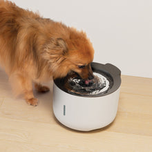 Charger l'image dans la galerie, Abreuvoir Zeus Oasis - Gris pâle