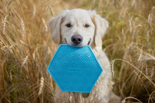 Charger l'image dans la galerie, Animora Tapis De Léchage