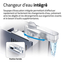 Load image into Gallery viewer, Aquarium équipé haut de gamme Fluval pour bettas - 22,7 L (6 gal US)