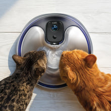 Load image into Gallery viewer, Catit PIXI Abreuvoir sans fil en acier inoxydable avec clarificateur UVC - 5 L (1,3 gal)