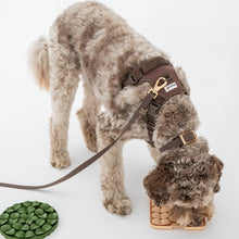 Charger l'image dans la galerie, Dexypaws Harnais sans traction pour chien, Espresso