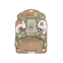 Charger l'image dans la galerie, Dexypaws Harnais sans traction pour chien, Vert sauge