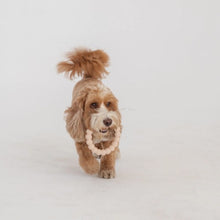 Charger l'image dans la galerie, Dexypaws Jouet à mâcher ultra robustes pour chien - Duo anneau & forme géométrique, Beige & noir