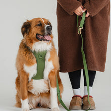 Charger l'image dans la galerie, Dexypaws Laisse "Mains Libre" imperméable pour chien - Vert camouflage - 6 pieds
