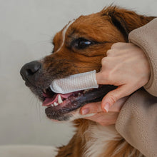 Load image into Gallery viewer, Dexypaws Lingettes doigt pour chien - Soins Dentaires - Sans parfum - Paquet de 100