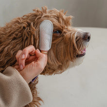 Charger l'image dans la galerie, Dexypaws Lingettes doigt pour chien - Soins des yeux, oreilles & nez - Sans parfum