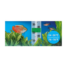 Charger l'image dans la galerie, Chauffe-eau submersible P50, jusqu’à 50 L (15 gal US), 50 W