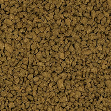 Charger l'image dans la galerie, Bug Bites microgranulés pour poisson cichlidés, moyens/larges