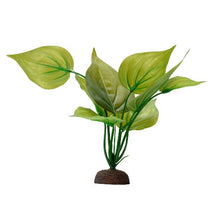 Charger l'image dans la galerie, Saurure penché Plant Scapes Aqualife Fluval