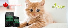 Charger l'image dans la galerie, harlow blend nourriture pour chat_le_jardin_des_animaux_-_nourriture_canadienne_pour_chat