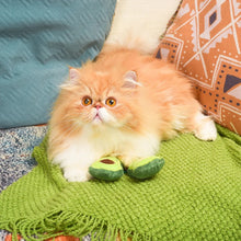 Charger l'image dans la galerie, Hugsmart "Meow Buddies" Jouet en peluche avec herbe à chat - Duo d'avocat
