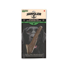 Charger l'image dans la galerie, Jawgler Bois de cervidés à mâcher - Entier - Nature sauvage