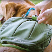 Charger l'image dans la galerie, Kurgo Harnais "Cascade", Vert