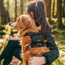 Charger l'image dans la galerie, Kurgo Harnais "Stash N' Dash"