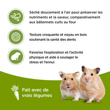 Charger l'image dans la galerie, Living World gâteries pour hamster - Bâtonnets aux légumes - paquet de 2 - 90 gr