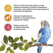 Load image into Gallery viewer, Living World Gâteries pour perruches - Paquet de 3 saveurs - 130 gr