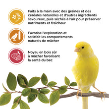 Load image into Gallery viewer, Living World Gâteries pour serins - Paquet de 3 saveurs - 85 gr