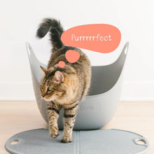 Charger l'image dans la galerie, Litter Genie Bac à litière avec pelle - Gris