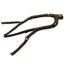 Charger l'image dans la galerie, Perchoir Nature’s Perch Living World