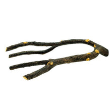 Charger l'image dans la galerie, Perchoir Nature’s Perch Living World