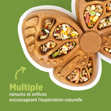 Load image into Gallery viewer, Living World Accessoire de nourrissage comestible - Papillon - Orange - 180 gr (6,3 oz)