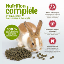 Load image into Gallery viewer, Living World Extrusion Rabbit Food
