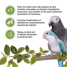 Load image into Gallery viewer, Living World Gâteries pour perroquets - Bâtonnets aux légumes - Paquet de 2 - 90 gr