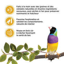 Load image into Gallery viewer, Living World Gâteries pour pinsons - Bâtonnets aux oeufs - Paquet de 2 - 50 gr