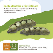 Load image into Gallery viewer, Living World Jouet à mâcher comestible - Cosse de poids - Vert - Paquet de 3 - 75 gr