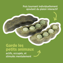 Load image into Gallery viewer, Living World Jouet à mâcher comestible - Cosse de poids - Vert - Paquet de 3 - 75 gr