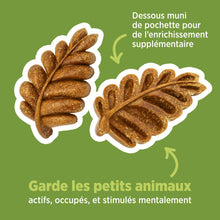 Charger l'image dans la galerie, Living World Jouet à mâcher comestible - Feuilles - Brun - Paquet de 6 - 140 gr (4,9 oz)