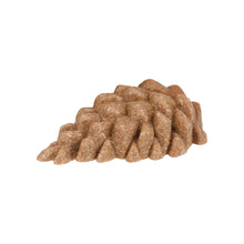 Load image into Gallery viewer, Living World Jouet à mâcher comestible - Pommes de pin - Brun - Paquet de 6 - 66 gr