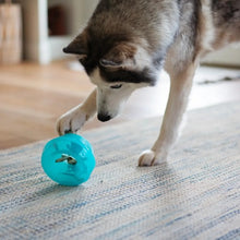 Charger l'image dans la galerie, Messy Mutts "Totally Pooched, Stuff'n Wobble Ball" Jouet Interactif Pour Chien, Bleu