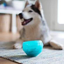 Charger l'image dans la galerie, Messy Mutts "Totally Pooched, Stuff'n Wobble Ball" Jouet Interactif Pour Chien, Bleu