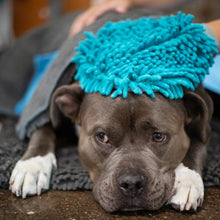 Load image into Gallery viewer, Messy Mutts Gant de toilettage en microfibre chenille - Bleu