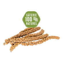 Load image into Gallery viewer, Living World Bunch Millets for Birds
