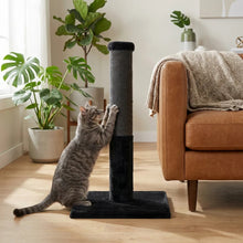 Load image into Gallery viewer, Noba Classic griffoir 28" - Fausse fourrure noire \ corde de fique charbon
