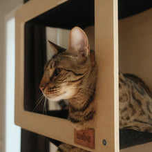 Charger l'image dans la galerie, Noba Origin – Collection murale – Ensemble complet - Aire de jeux verticale - Noir