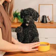 Charger l'image dans la galerie, Nourriture crue pour chien Faim Museau - Poulet et dinde