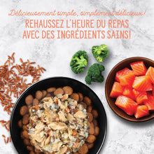 Load image into Gallery viewer, Nutrience garnitures Style maison pour chiens - Saumon et riz rouge - 152 gr