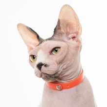 Charger l'image dans la galerie, Nuvuq Collier ajustable avec attache de sécurité pour chat, Orange tangerine