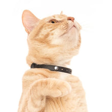 Charger l'image dans la galerie, Nuvuq Collier ajustable avec attache de sécurité pour chat, Poivre noir
