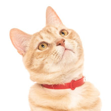 Charger l'image dans la galerie, Nuvuq Collier ajustable avec attache de sécurité pour chat, Rouge tomate